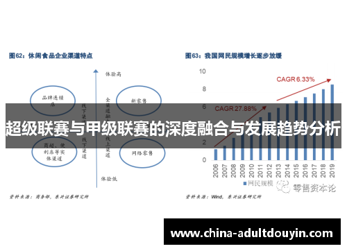 超级联赛与甲级联赛的深度融合与发展趋势分析